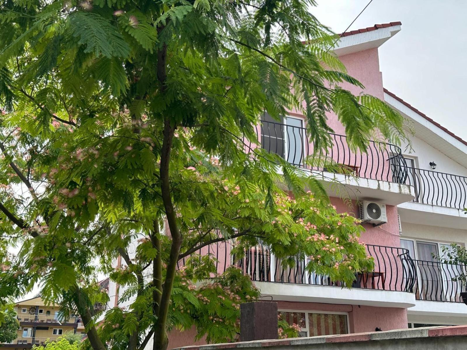Vila Lucy Costinesti Hotel Eksteriør billede